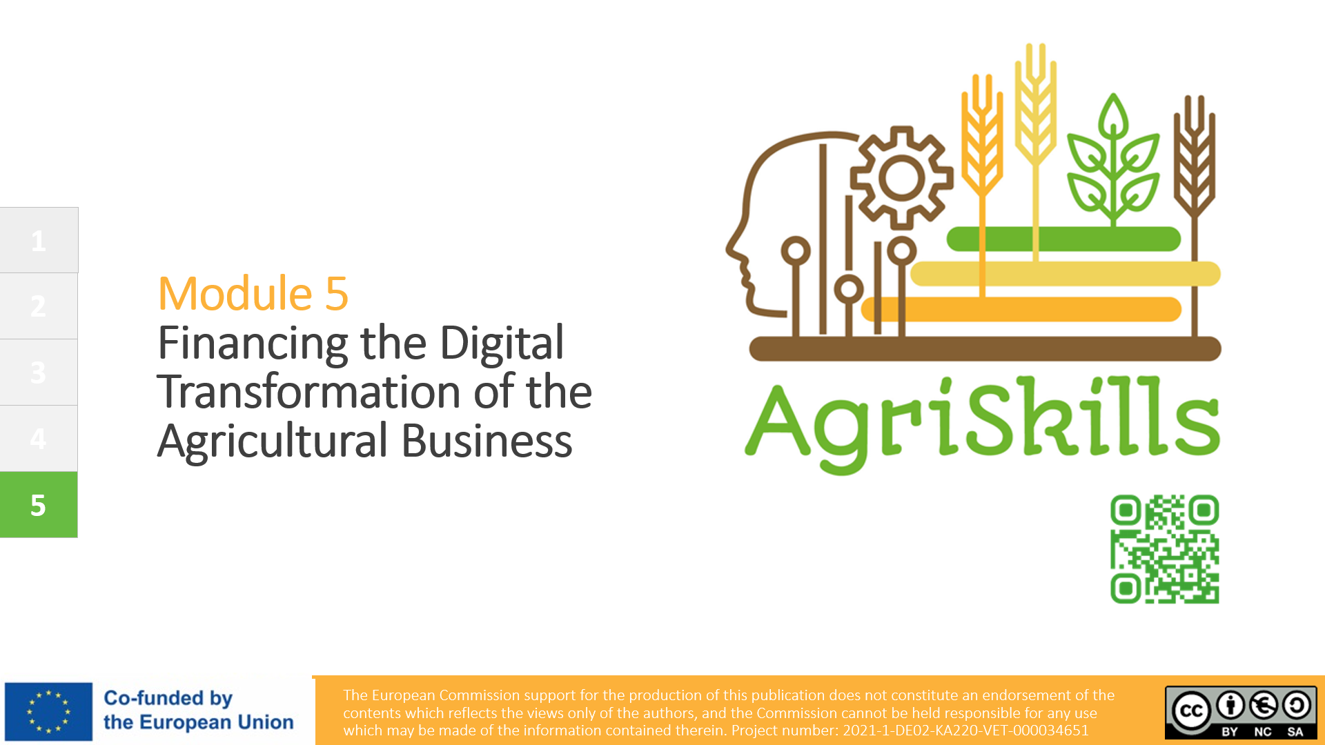 Financing the Digital Transformation of the Agricultural Business