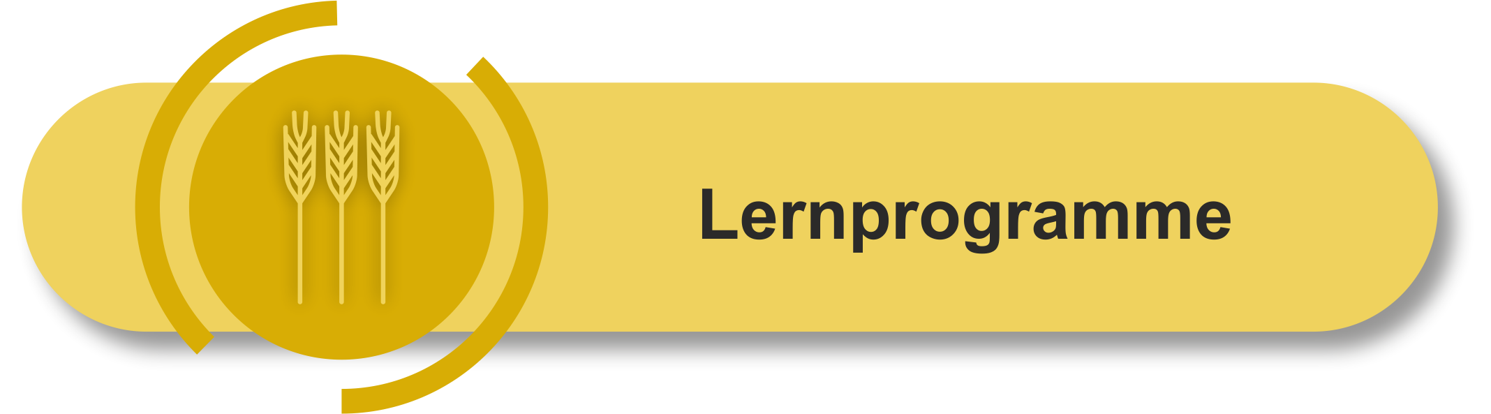 Lernprogramme